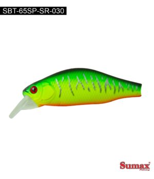 Isca Sumax - Beetle